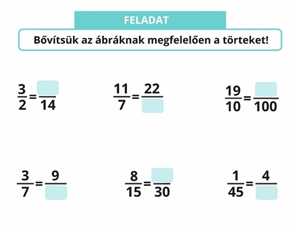 5_tortek03.jpg